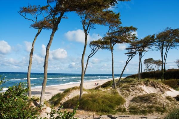 Haus Linden, Mecklenburg-Vorpommern, Prerow