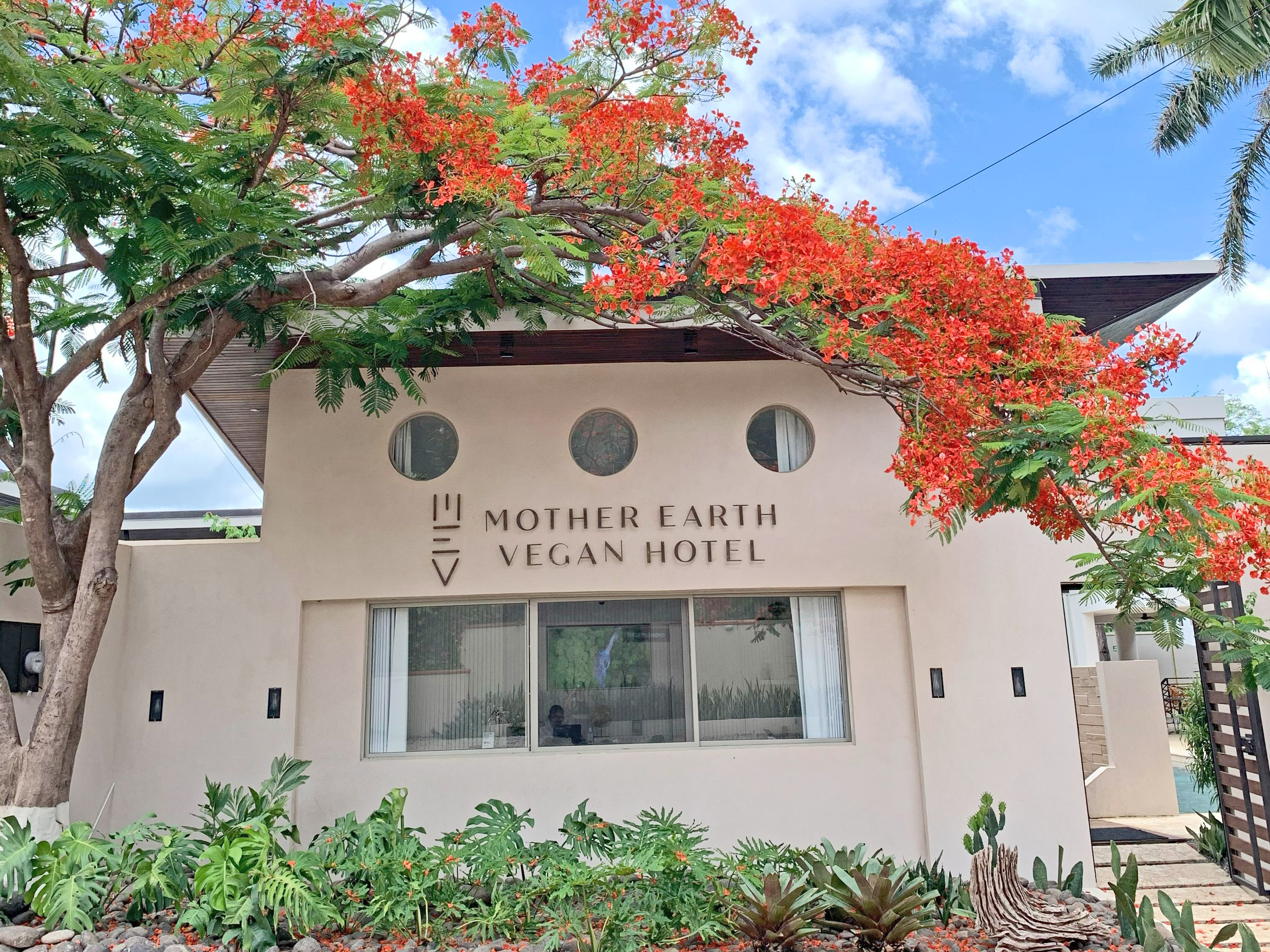 Mother Earth Vegan Hotel, Guanacaste Province, Tamarindo