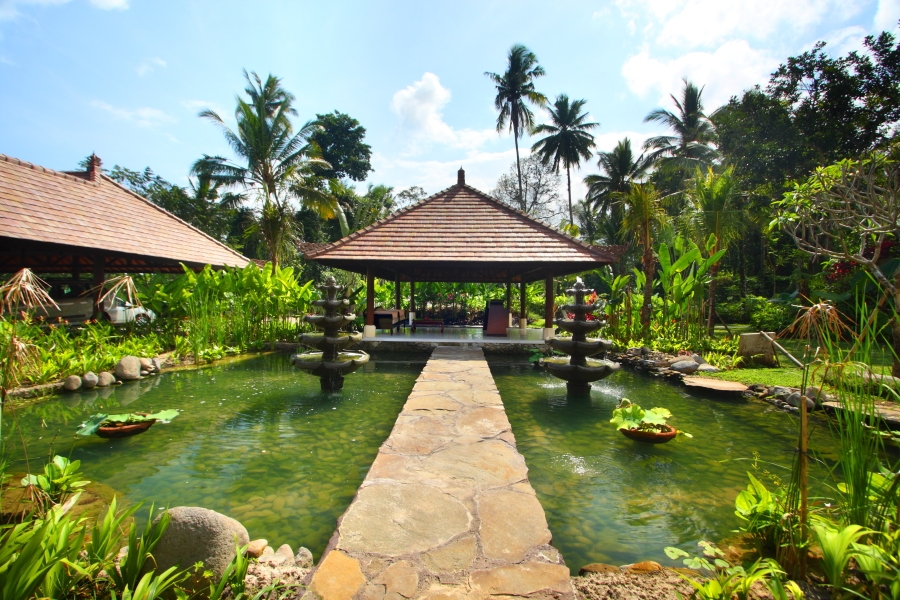 BeingSattvaa, Bali, Ubud
