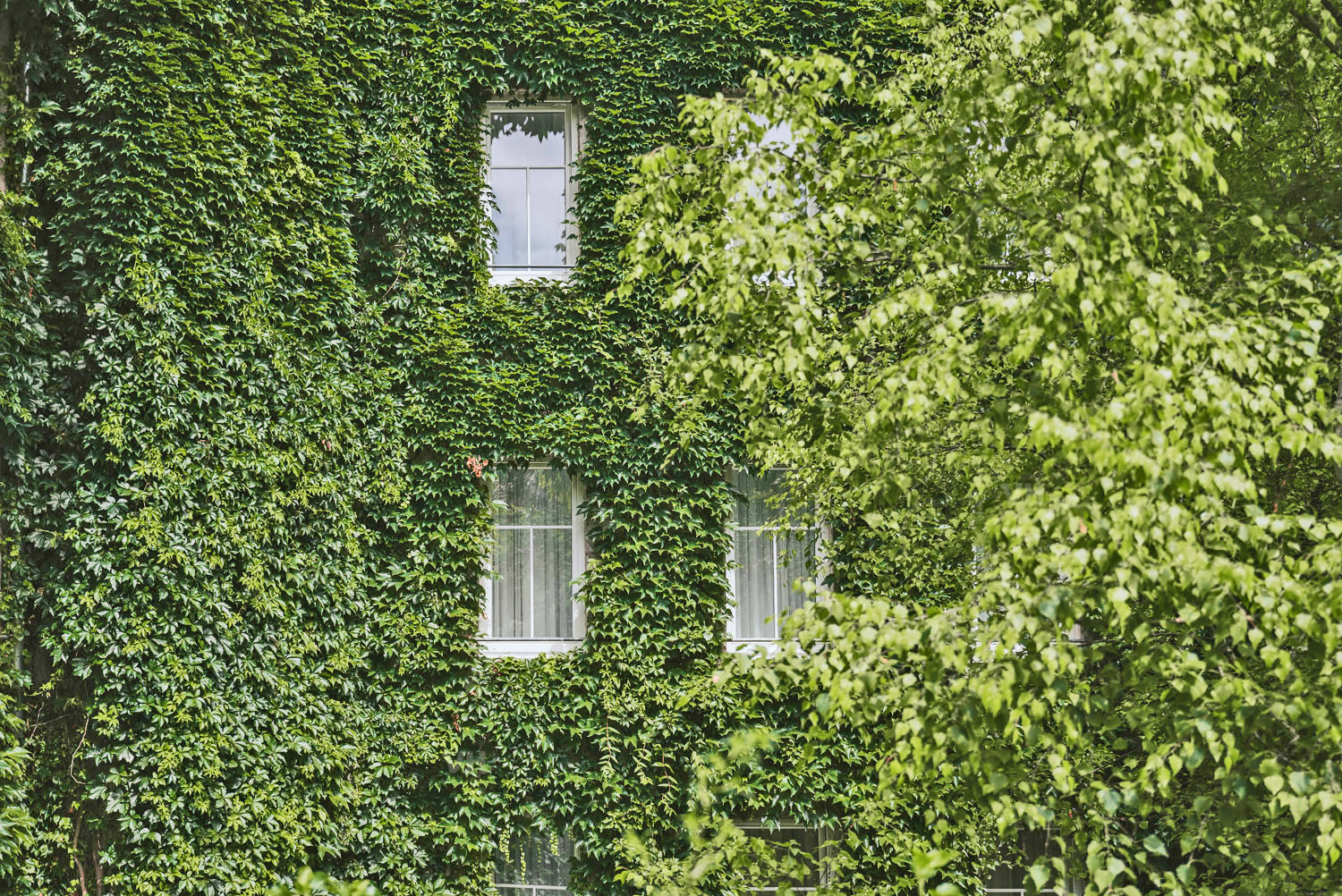 Boutiquehotel Stadthalle, Wien, Wien