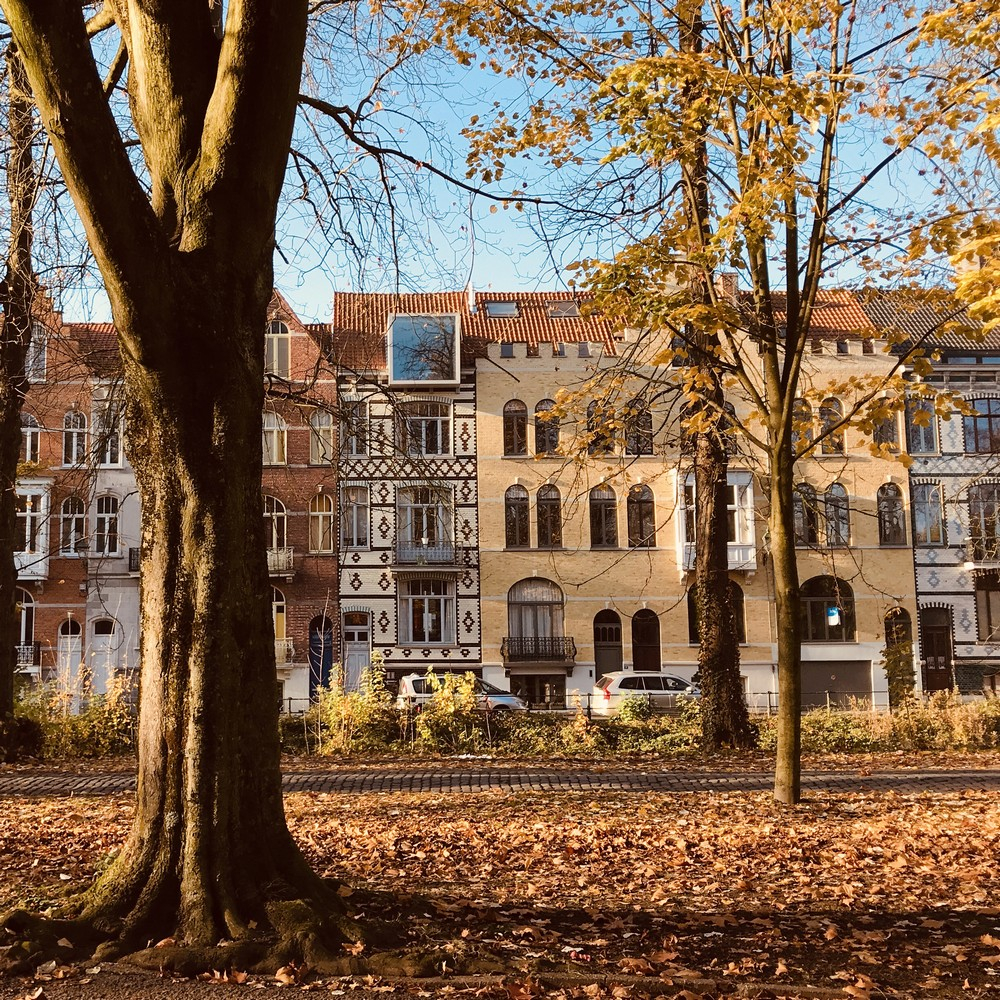 vegan b&b AM/PM Bruges, Vlaanderen, Bruges