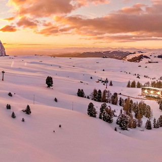 instagram @veganwelcome