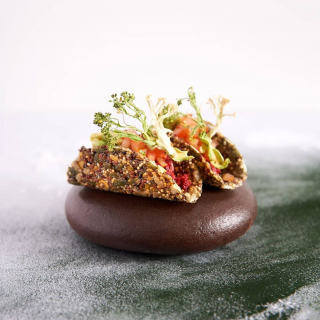 instagram @veganwelcome